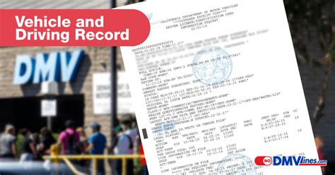 nm dmv driving record|free dmv driving record.